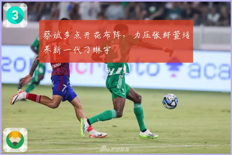 蔡斌多点开花布阵，力压张籽萱培养新一代刁琳宇