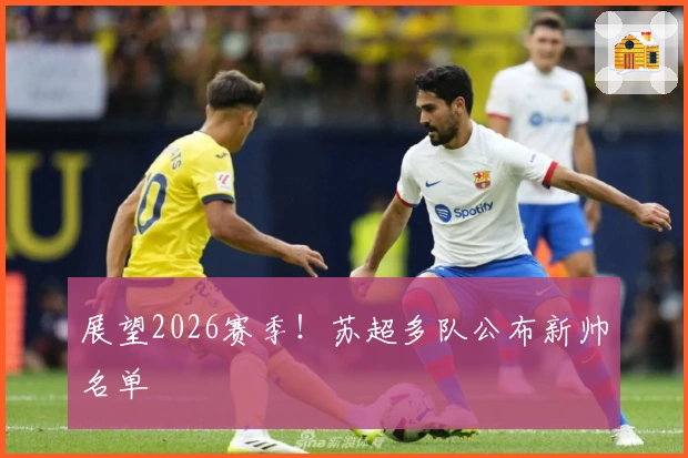 展望2026赛季！苏超多队公布新帅名单